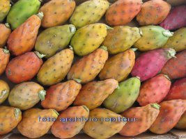 Western Sicily & Egadi Island Tour | Sicily tour